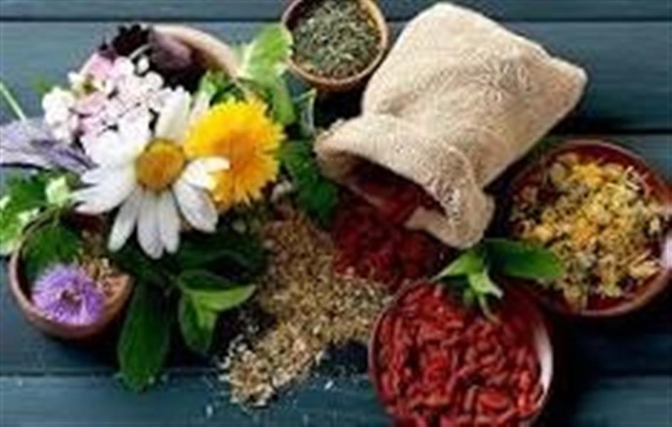 كاشت، داشت و برداشت گیاهان دارویی گلدار