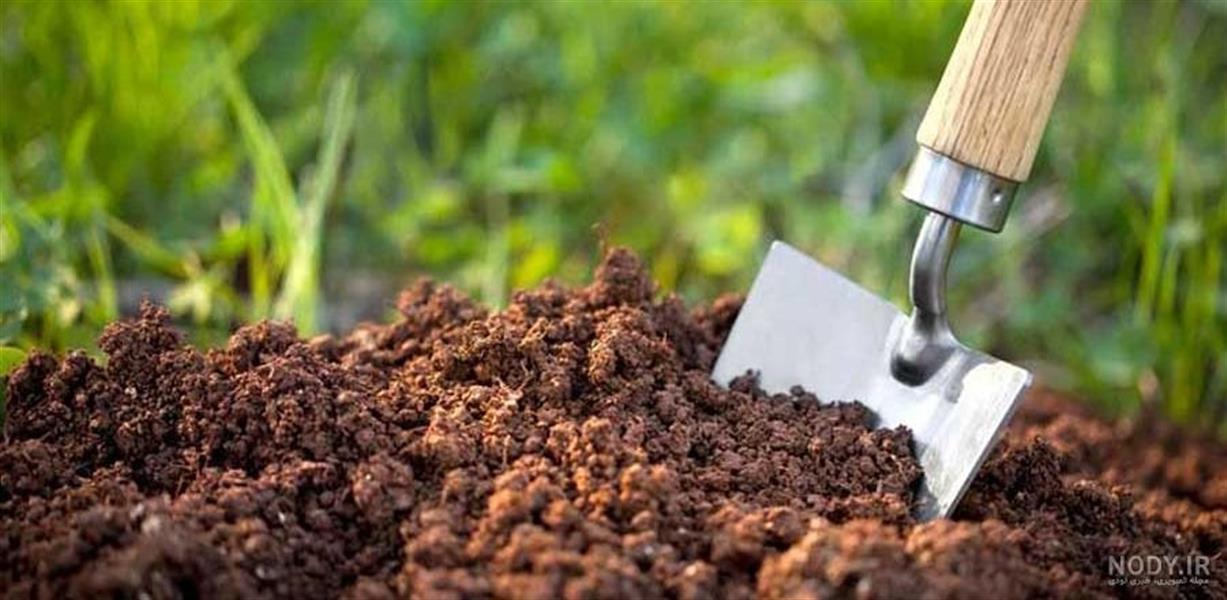 مدیریت پایدار خاك؛ كلید امنیت غذایی و محیط زیست سالم