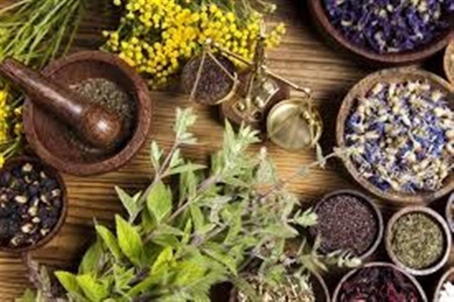 توسعه كشت گیاهان بذری؛ راهی به سوی كشاورزی پایدار و دارویی