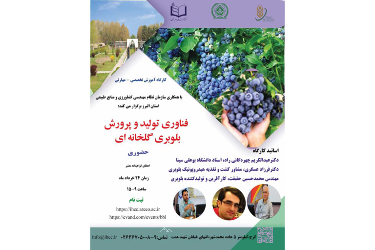 فناوری تولید و پرورش بلوبری گلخانه ای