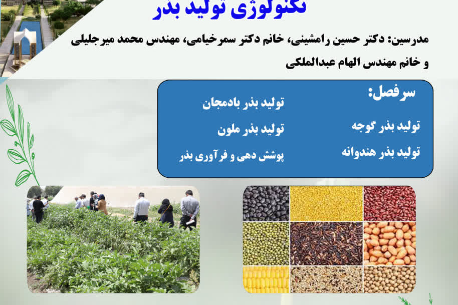 تکنولوژی تولید بذر
