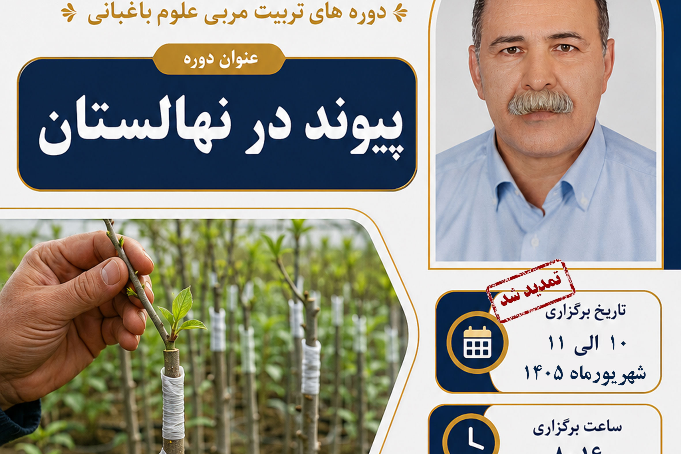 پیوند در نهالستان