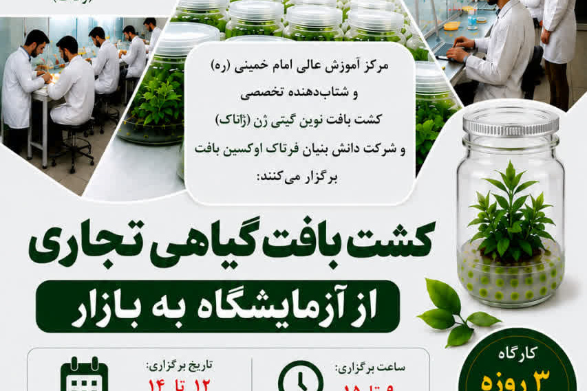 کشت بافت گیاهی تجاری از آزمایشگاه به بازار