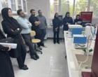 از شناسایی تا کنترل؛ جدیدترین راهکارهای مدیریت سن گندم بررسی شد