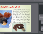 برگزاری دوره آموزشی ملی با محوریت پیشگیری از بیماری‌های نوپدید و مشترک