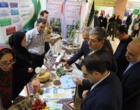 بازدید رایزنان اقتصادی وزارت امور خارجه و مسئولان کشوری از دستاوردهای نوآورانه بخش کشاورزی