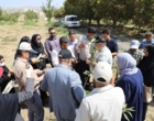 پیوند دانش و مهارت در نهالستان؛برگزاری دومین روز نخستین دوره مهارت‌آموزی با رویکرد تربیت مربی