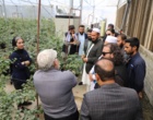 آغاز دوره آموزشی بین‌المللی کارشناسان کشاورزی افغانستان در مرکز آموزش عالی امام خمینی(ره)
