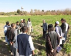 گزارش تصویری بازدید کارشناسان کشاورزی کشور افغانستان از مزارع و گلخانه های بذور سبزی و صیفی مستقر در مرکز آموزش عالی امام خمینی(ره)
