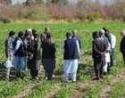 گزارش تصویری بازدید کارشناسان کشاورزی کشور افغانستان از مزارع و گلخانه های بذور سبزی و صیفی مستقر در مرکز آموزش عالی امام خمینی(ره)
