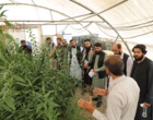 گزارش تصویری بازدید کارشناسان کشاورزی کشور افغانستان از مزارع و گلخانه های بذور سبزی و صیفی مستقر در مرکز آموزش عالی امام خمینی(ره)