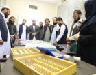 آشنایی کارشناسان کشاورزی افغانستان با گنجینه تنوع زیستی و ذخایر ژنتیکی گیاه‌پزشکی کشور