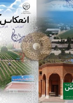 فصلنامه انعکاس آموزش شماره 3 - پاییز 1400