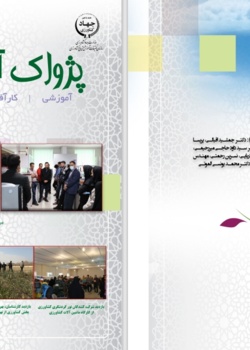 فصلنامه پژواک آموزش شماره 11 - پاییز 1402