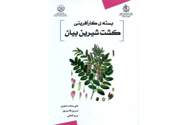 بسته کارآفرینی کشت شیرین بیان