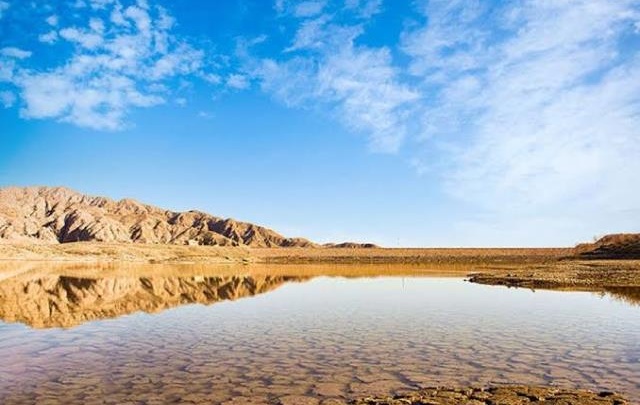 تبیین راهبردهای تاب‌آوری کشاورزی و مدیریت بحران خشکسالی در نشست تخصصی کارشناسان و بهره‌برداران پیشرو