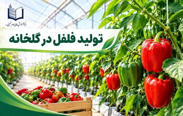 برگزاری دوره آموزشی «تولید فلفل در گلخانه» در مرکز آموزش عالی امام خمینی (ره)