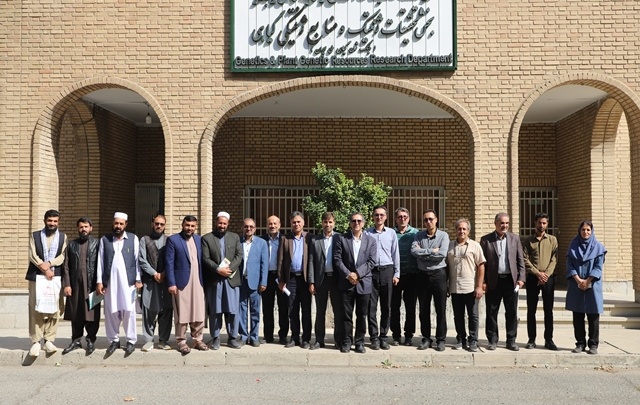 آشنایی کارشناسان کشاورزی افغانستان با بذور گواهی‌شده و پرمحصول غلات در پنجمین روز دوره آموزشی تخصصی