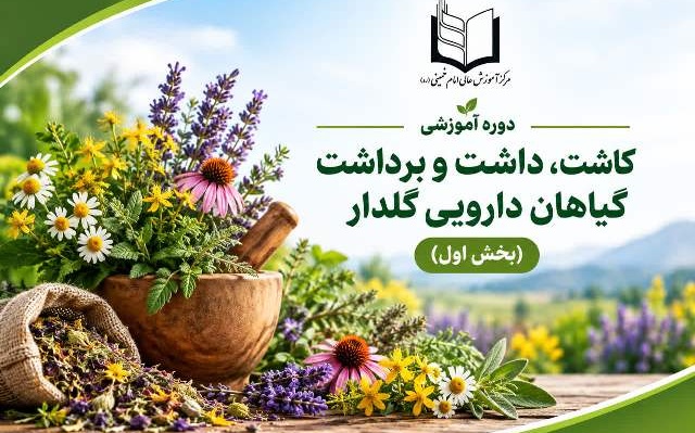 از کاشت تا برداشت؛ آموزش تخصصی گیاهان دارویی در مرکز آموزش عالی امام خمینی(ره)