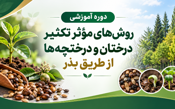 برگزاری دوره آموزشی روش‌های مؤثر تکثیر درختان و درختچه‌ها از طریق بذر در مرکز آموزش عالی امام خمینی(ره)