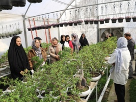 بازدید مددجویان کمیته امداد امام خمینی(ره) شهرستان فردیس از ظرفیت‌های فناورانه و دانش‌بنیان مرکز آموزش عالی امام خمینی(ره)