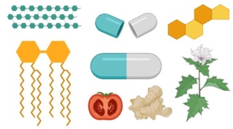 دوره آموزشی فیتوشیمی، خواص درمانی و حفاظتی تشکیلات ثانویه گیاهی را آشکار می‌کند