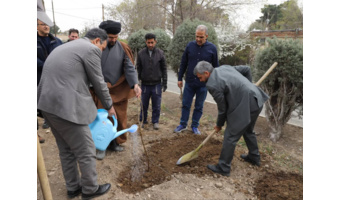 غرس ۱۶۸ نهال به یاد شهدای دانش آموز دبستان شجره طیبه میناب