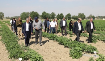 بازدید معاونان وزیر جهاد کشاورزی از مزارع تولید بذر مرکز آموزش عالی امام خمینی(ره)