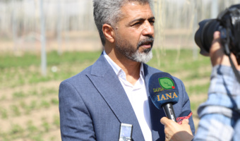 تهران- ایانا- بذرهای سبزی و صیفی پیش از ورود به مزارع از فیلتر ارزیابی دوساله عبور می‌کنند