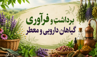 دوره آموزشی «برداشت و فرآوری گیاهان دارویی و معطر»
