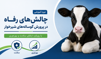 برگزاری دوره آموزشی «چالش‌های رفاه در پرورش گوساله‌های شیرخوار» با رویکرد ارتقای سلامت و بهره‌وری