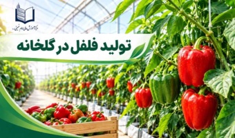برگزاری دوره آموزشی «تولید فلفل در گلخانه» در مرکز آموزش عالی امام خمینی (ره)
