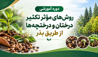 برگزاری دوره آموزشی روش‌های مؤثر تکثیر درختان و درختچه‌ها از طریق بذر در مرکز آموزش عالی امام خمینی(ره)