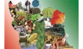 تأکید بر نقش حکمرانی، امنیت غذایی و جایگاه راهبردی بخش کشاورزی در تحقق امنیت ملی