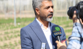 تهران- ایانا- بذرهای سبزی و صیفی پیش از ورود به مزارع از فیلتر ارزیابی دوساله عبور میکنند