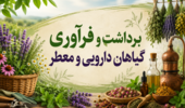 دوره آموزشی «برداشت و فرآوری گیاهان دارویی و معطر»