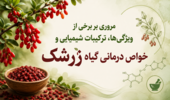 برگزاری دوره آموزشی ملی «مروری بر برخی از ویژگیها، ترکیبات شیمیایی و خواص درمانی گیاه زرشک» در مرکز آموزش عالی امام خمینی(ره)