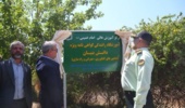 تهران - ایانا- آموزشگاه رانندگی ویژه ماشین‌های کشاورزی و راهسازی با مجوز رسمی پلیس راهنمایی و رانندگی فراجا و فرماندهی انتظامی استان البرز، در مرکز آموزش عالی امام خمینی(ره) افتتاح شد.