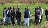 گزارش تصویری بازدید کارشناسان کشاورزی کشور افغانستان از مزارع و گلخانه های بذور سبزی و صیفی مستقر در مرکز آموزش عالی امام خمینی(ره)