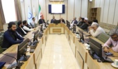 ربانی‌نسب: امنیت غذایی کشورهای همسایه در گرو همکاری‌های علمی و تبادل فناوری است