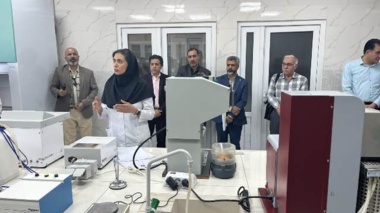 از شناسایی تا کنترل؛ جدیدترین راهکارهای مدیریت سن گندم بررسی شد