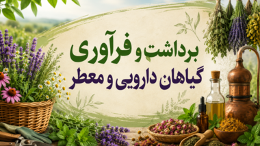 دوره آموزشی «برداشت و فرآوری گیاهان دارویی و معطر»