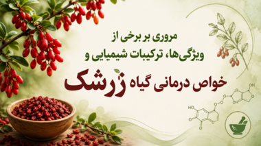 برگزاری دوره آموزشی ملی «مروری بر برخی از ویژگی‌ها، ترکیبات شیمیایی و خواص درمانی گیاه زرشک» در مرکز آموزش عالی امام خمینی(ره)