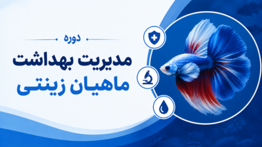 برگزاری دوره مدیریت بهداشت ماهیان زینتی
