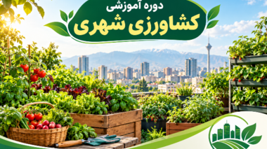 برگزاری دوره آموزشی کشاورزی شهری جهت آشنایی با الگوهای نوین تولید و مدیریت منابع در محیط‌های شهری