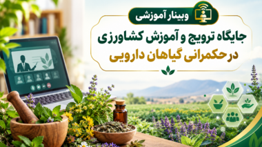 برگزاری وبینار آموزشی «جایگاه ترویج و آموزش کشاورزی در حکمرانی گیاهان دارویی» در مرکز آموزش عالی امام خمینی(ره)