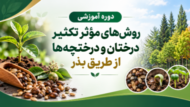 برگزاری دوره آموزشی روش‌های مؤثر تکثیر درختان و درختچه‌ها از طریق بذر در مرکز آموزش عالی امام خمینی(ره)