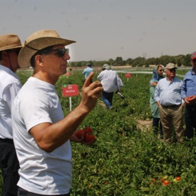 شرکت فلات ایران