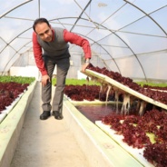 شرکت دانش بنیان مزرعه سبز سعیدی